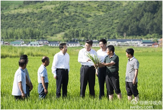 海利集团,长沙杀虫剂,长沙光气衍生物,长沙氨基酸?；ぜ?长沙锂离子电池材料