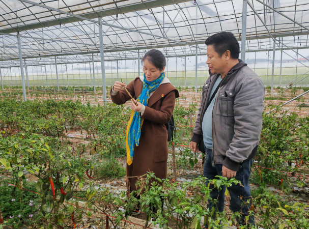 海利集团,长沙杀虫剂,长沙光气衍生物,长沙氨基酸?；ぜ?长沙锂离子电池材料